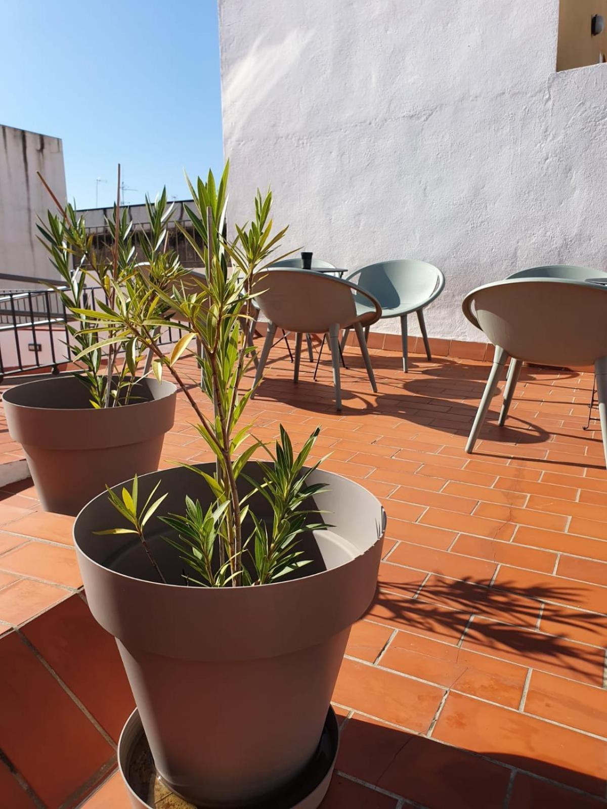 Alegoria Coliving Experience Hotell Sevilla Exteriör bild